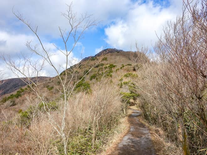 暫くは緩やかな歩きやすい道が続きます