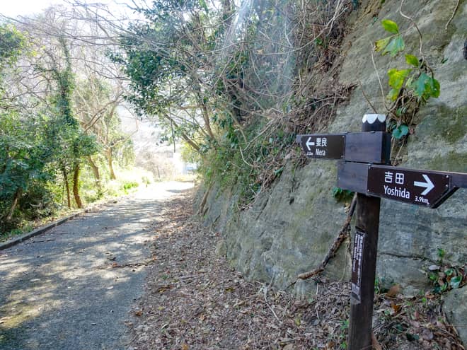 暫く歩くと林道が舗装道路に代わり