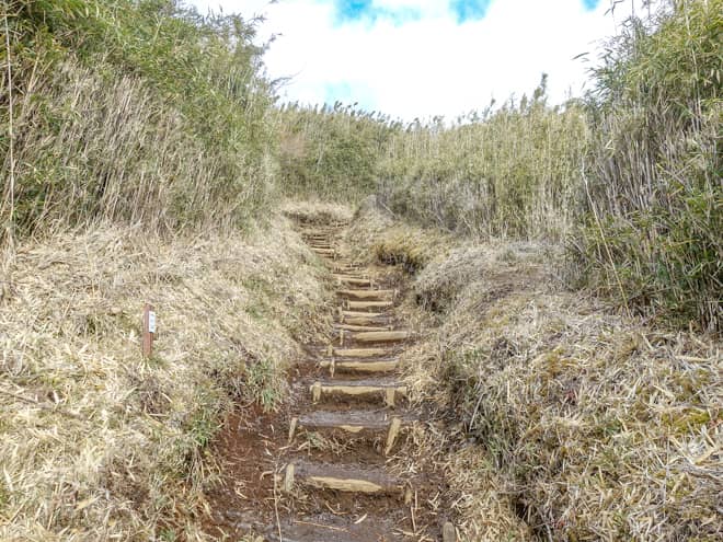 木々が無く、開放的な道のりですが