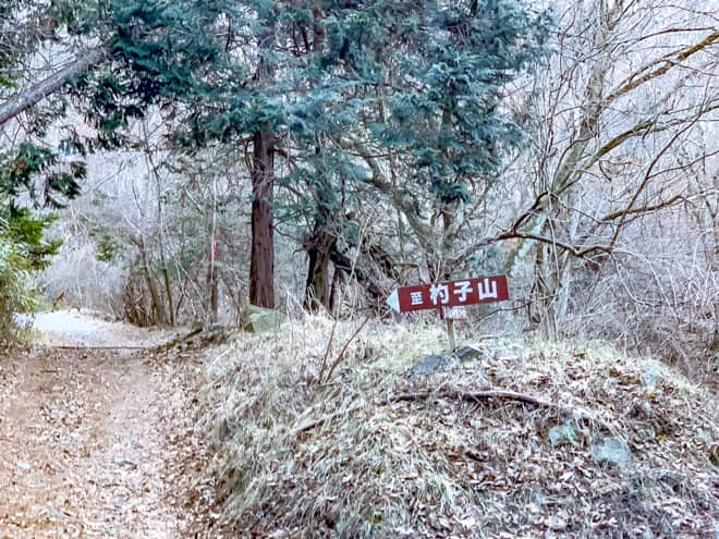 杓子山の登山では