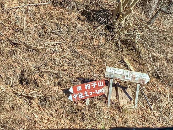 杓子山は分岐が随所にあるので