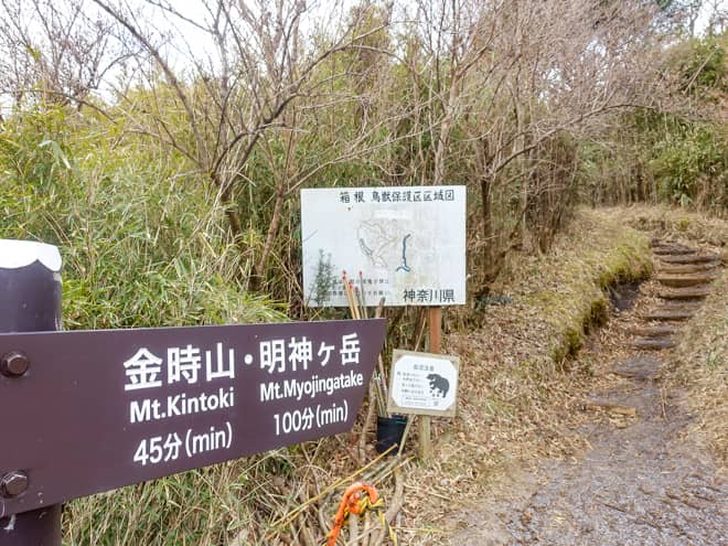標識では金時山まで45分となっていますが