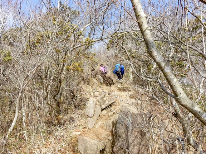 段々と景色が開けていくにつれ