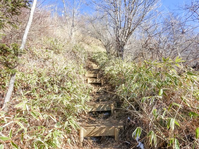 段々と木々が低くなり