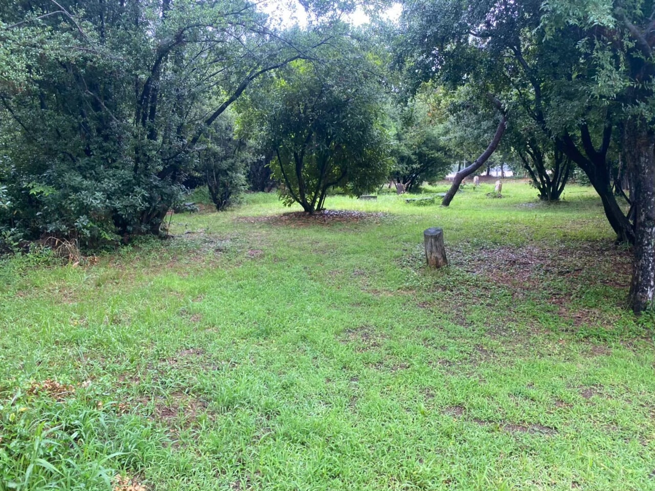 汐見公園のフリーサイト