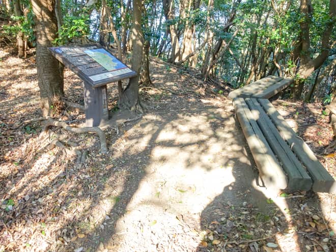 登り切った先は「草原コース」