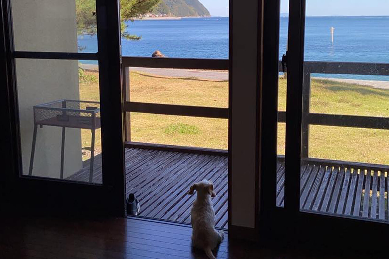 窓から海が見える