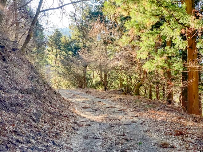 第一のチェックポイントは