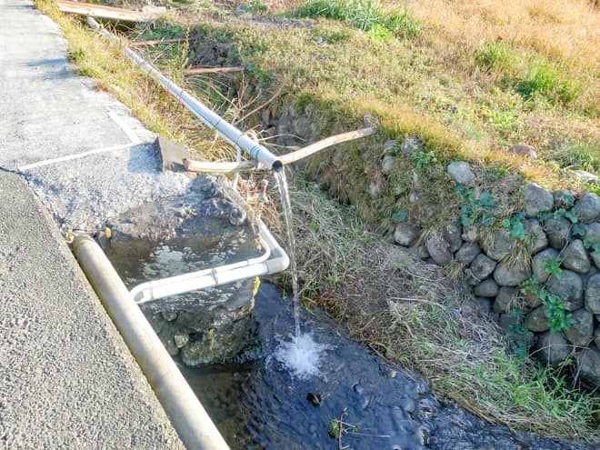 蛍を鑑賞したいキャンパー