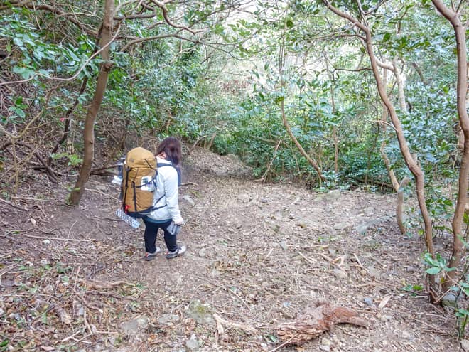 道は狭くなり、岩の露出した足場の悪い道のりです