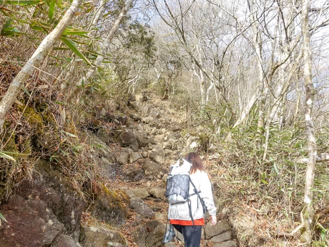金時山は山頂手前が突起したような山容です