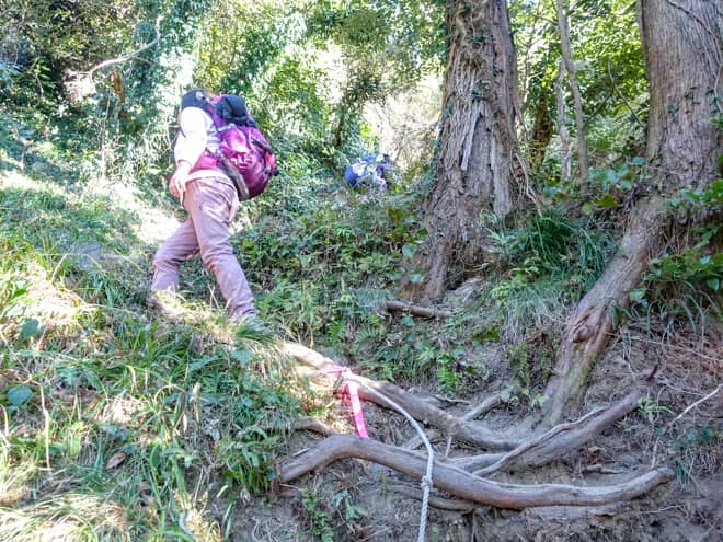 それでいて山頂まで40~60分