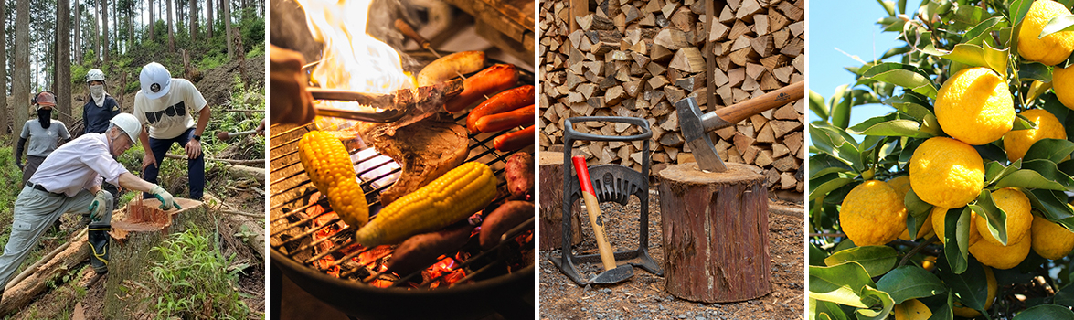 体験プログラムのイメージ