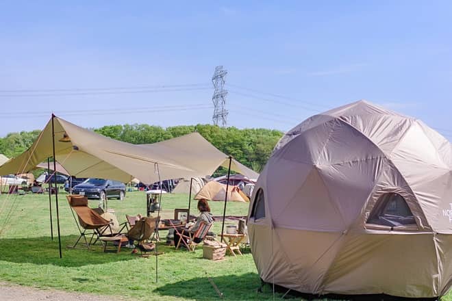 全部知っていたら沼確定です！