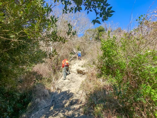 写真では伝わり切れないところが残念ではありますが