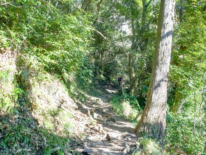 分岐がある場所はT字路のようになっているので