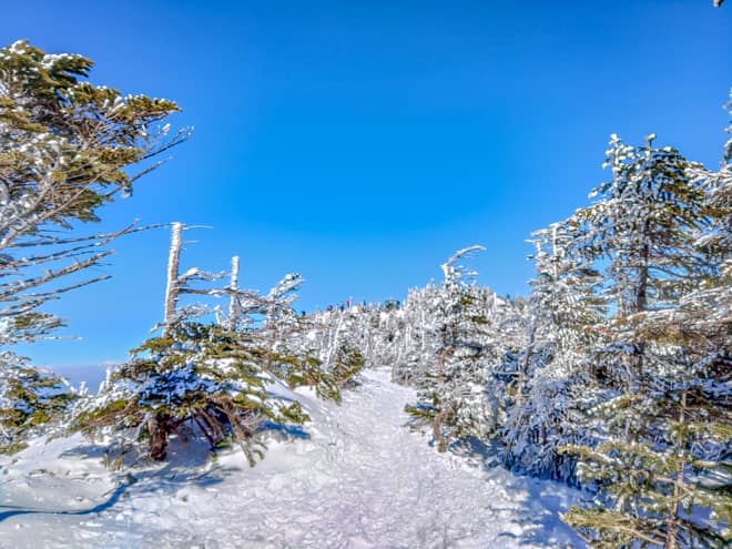 北峰へ続く登山道