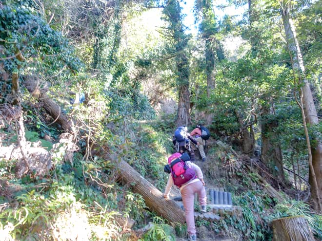 富山の分岐から先は段々と傾斜がきつくなっていきます