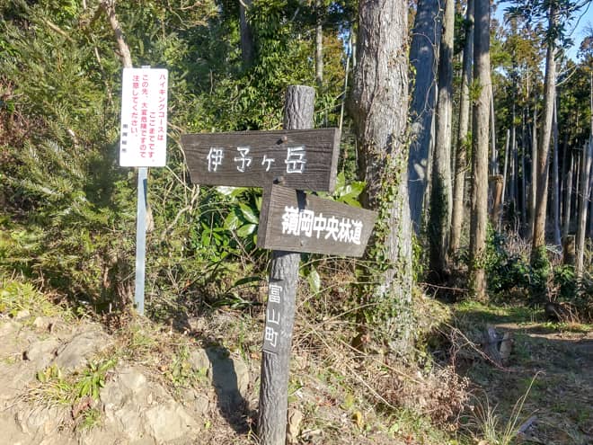 展望台のある分岐からは