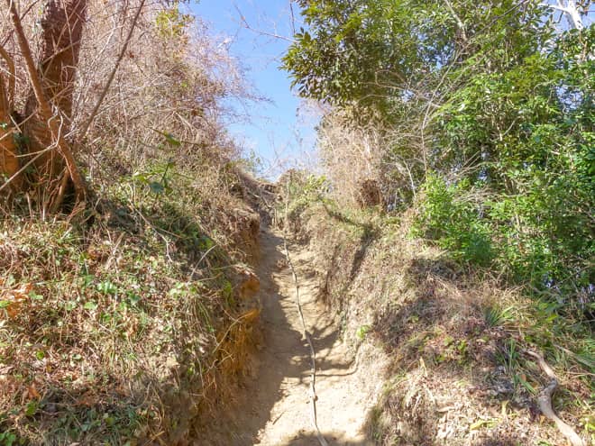 山頂手間でロープがありますが