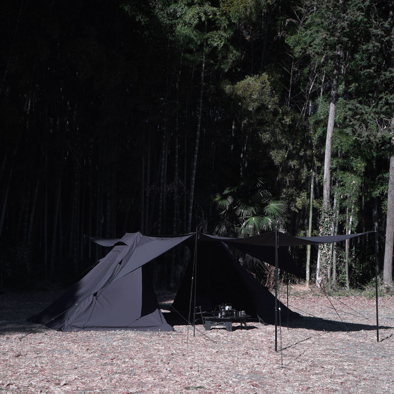 広々した前室空間