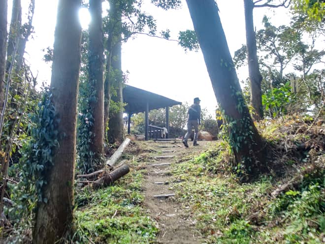 桜の広場を抜けると再び樹林帯です