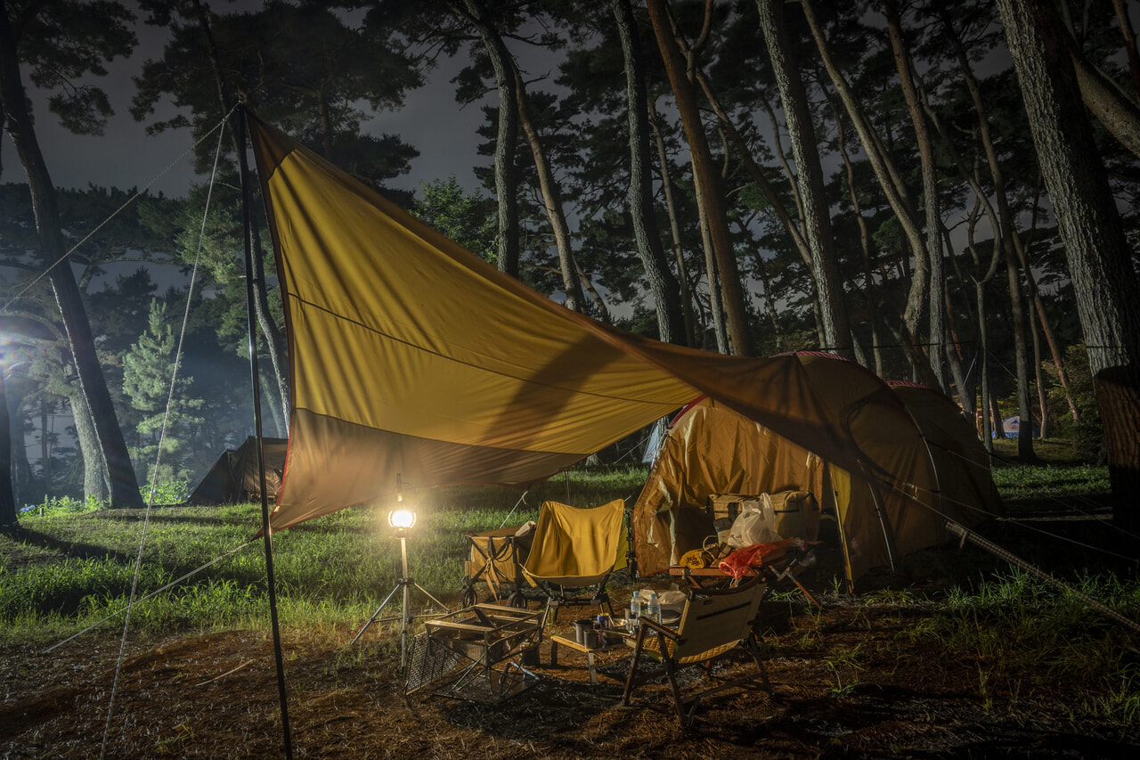 森林サイトでのキャンプイメージ