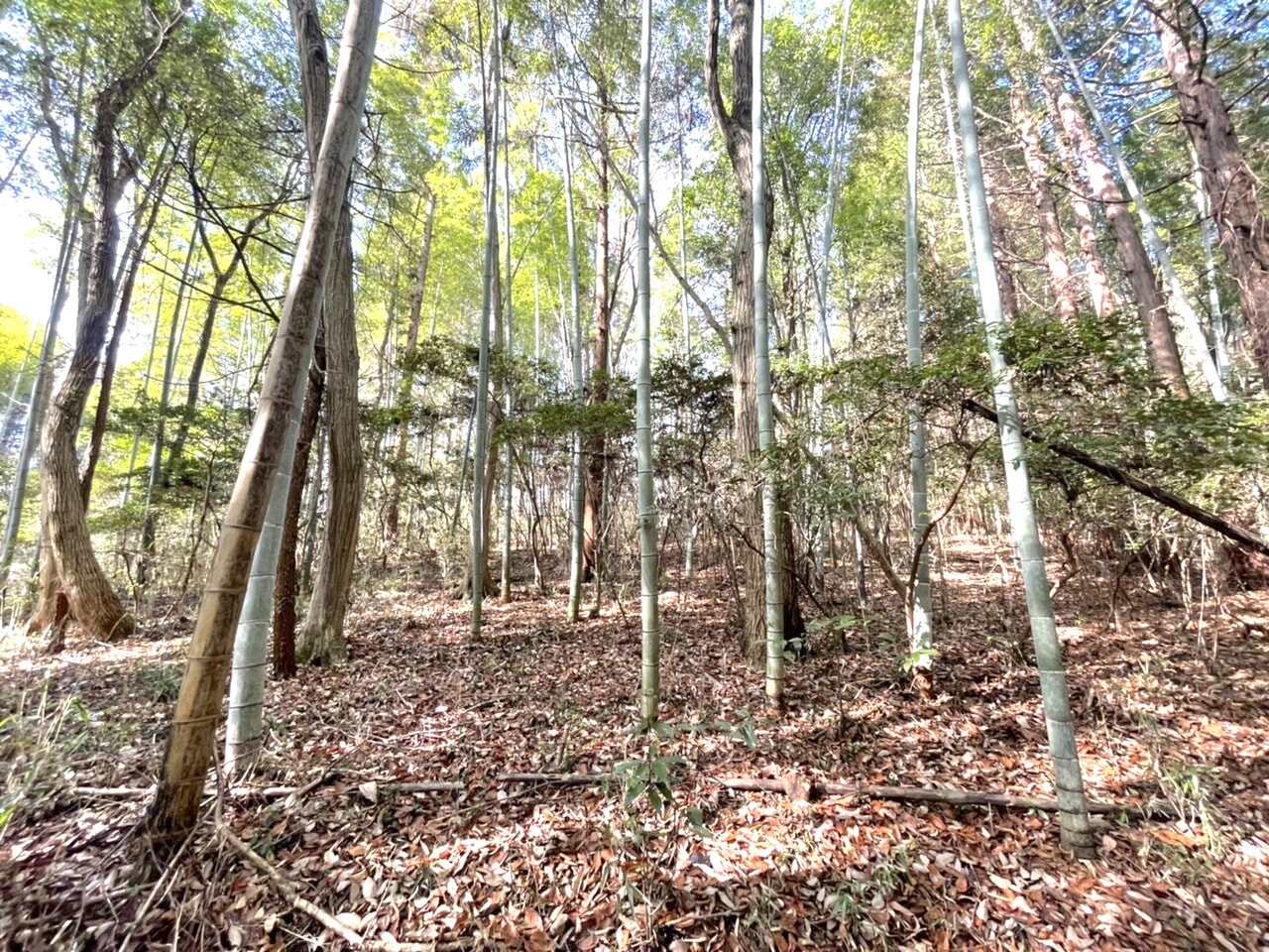 水戸キャンプエリアの現地写真