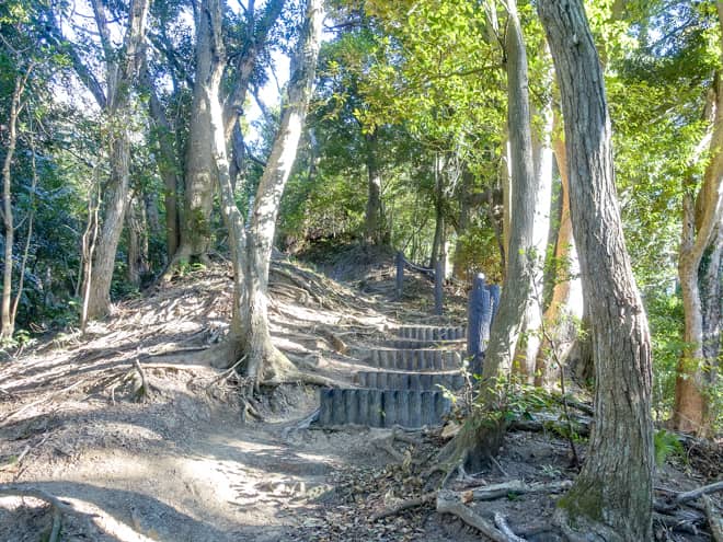 登山道は大変整備されているので歩きやすいです