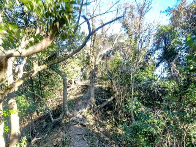 迂回路は北峰を降りてすぐに左手を進み