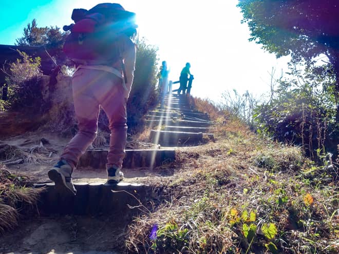 階段も増えていき