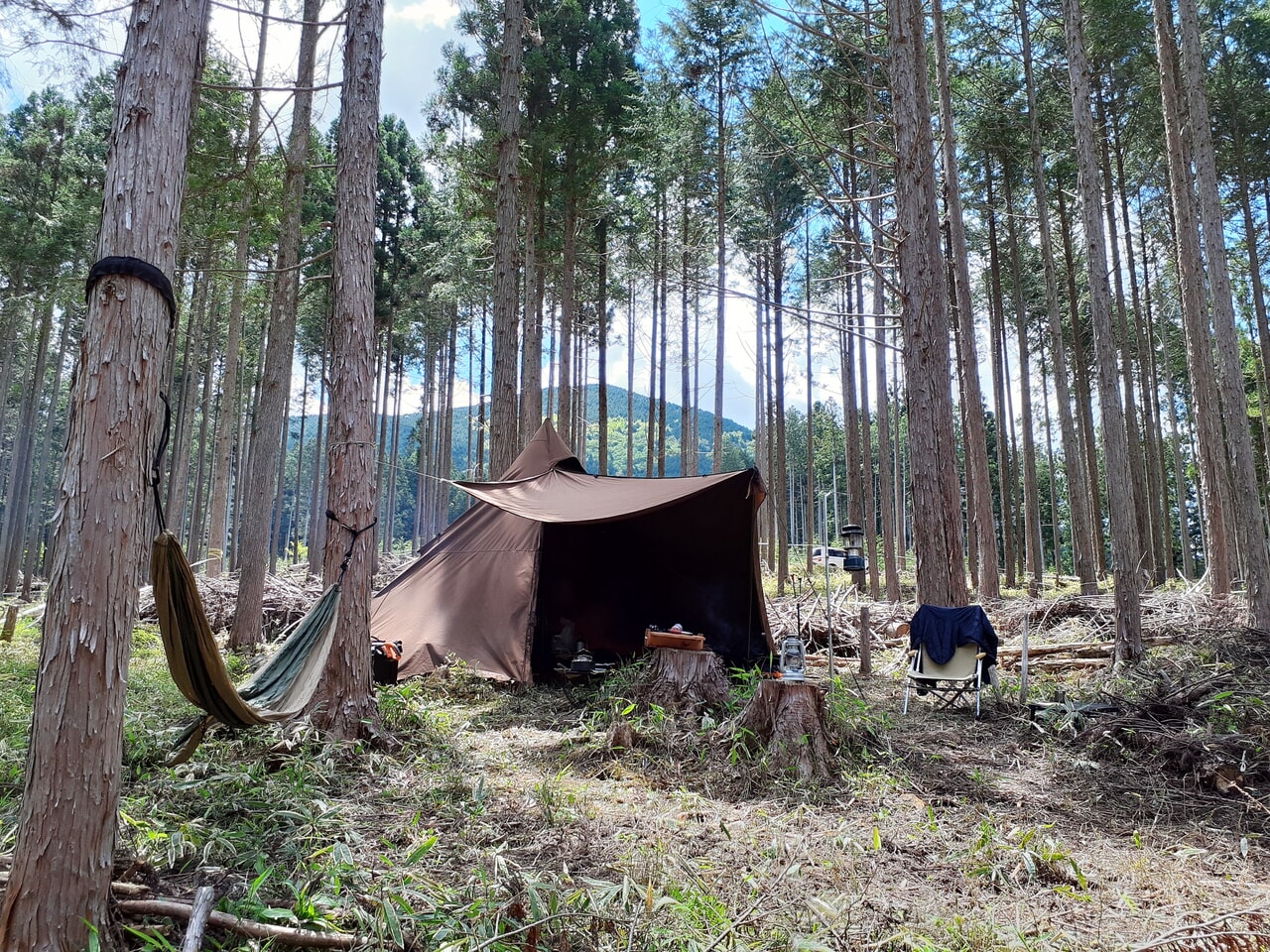 森林レンタルサービスforentaがついに関東へ進出！茨城県水戸市にキャンプエリアが登場