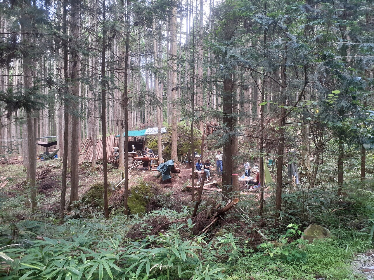 forentaの森林レンタルサービス