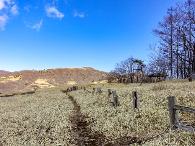 「猫の平」に到着です