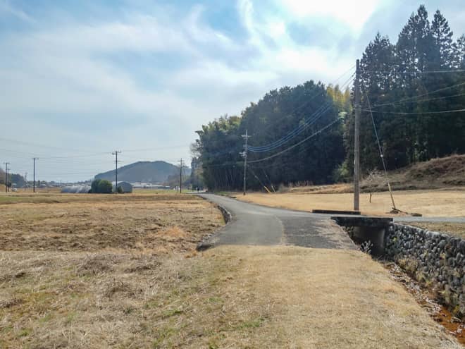 あとは道なりに進むと日吉神社近くに到着します