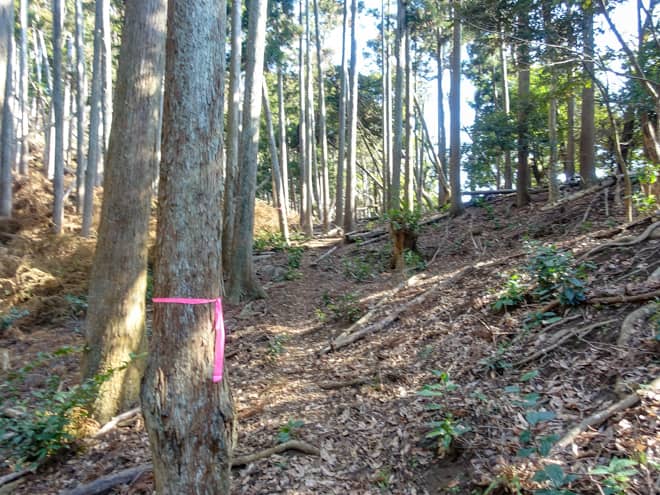 ここから先は正規ルートではなく