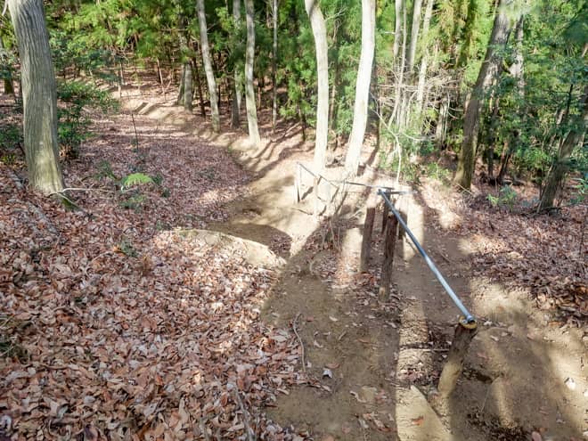 この先は樹林帯の比較的歩きやすい