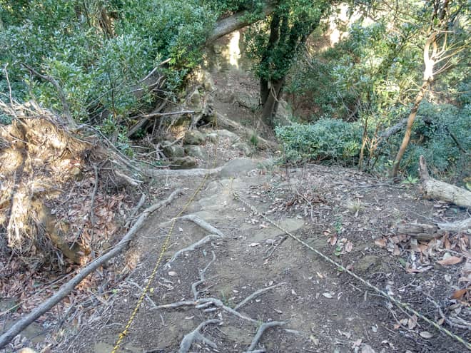 しかしながら今回