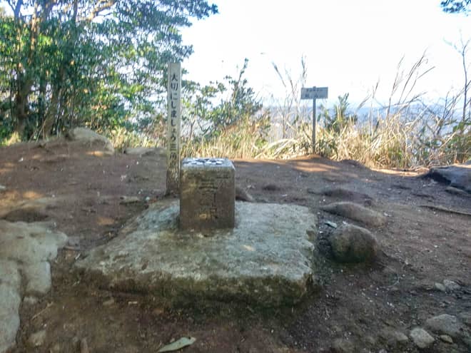 しかし先述の通り