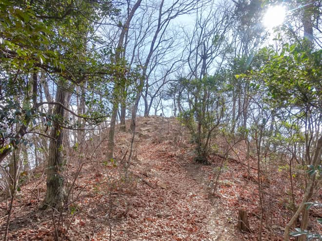 ちょっとだけ歩き進めると山頂らしき場所