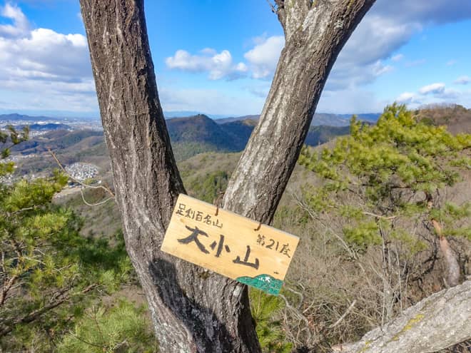 よーく見ると木に山頂標識が括り付けてありました