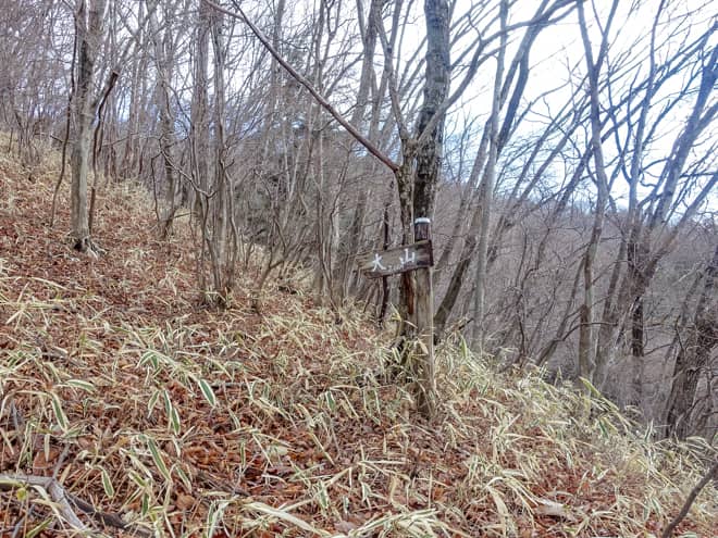 チェックポイントの猫の平までは