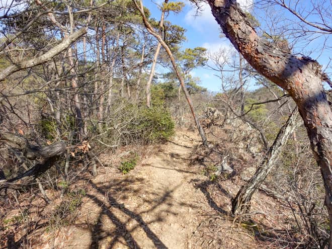 ベンチから先は