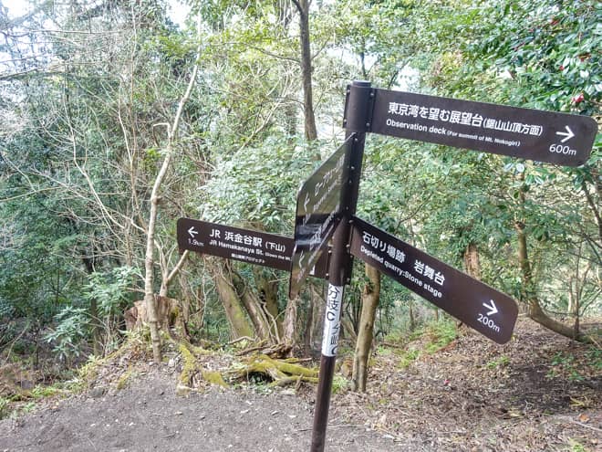 今回は、がっつりと登山を楽しみたい