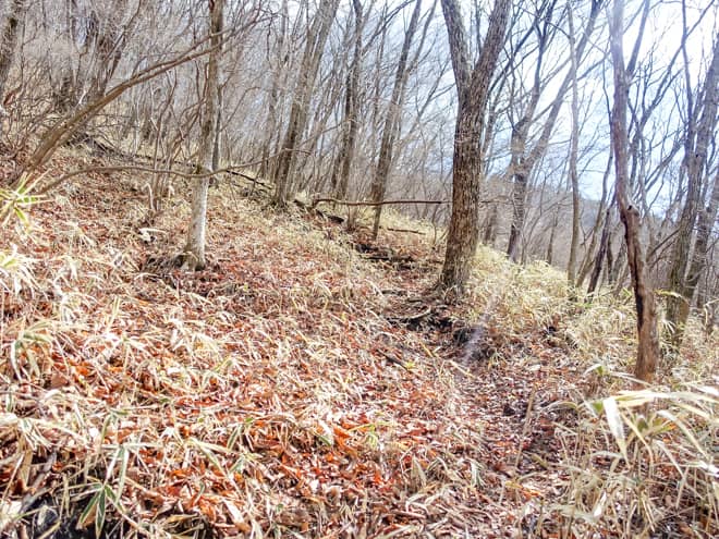 写真では伝わり辛いのですが