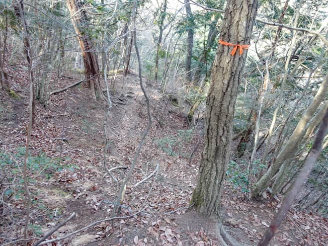 分岐に戻り安全な迂回路から下山