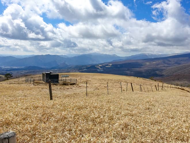 南側に目を向けると広大な牧草が広がる