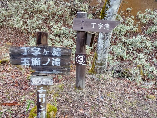 右手に分岐が見えてきました