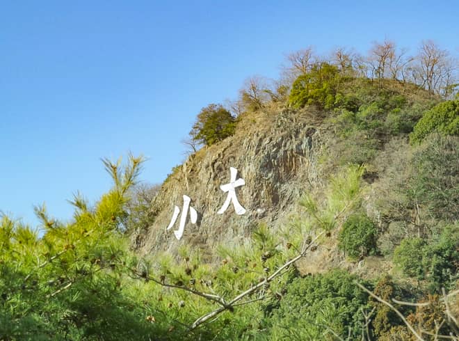 名札がついている主張強めの山「大小山