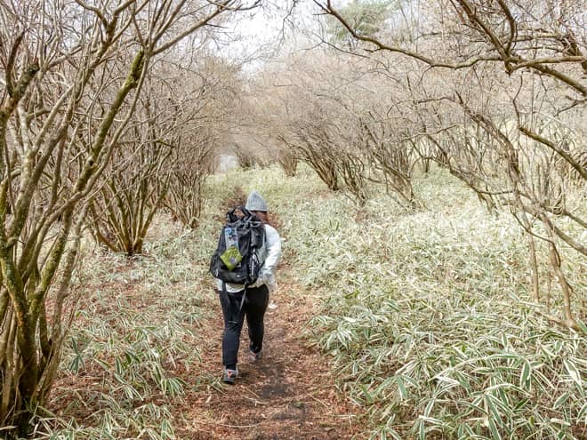 大山ハイキングコース入口 → 丁字滝